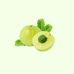 Amla Fruit