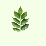 Curry Leaf